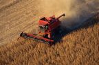 A combine in a soybean field