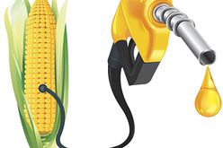 ethanol and corn